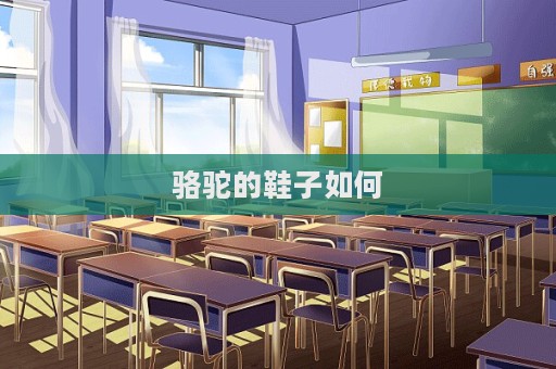 骆驼的鞋子如何  第1张