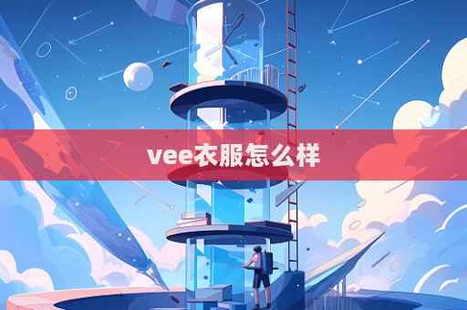 vee衣服怎么样  第1张