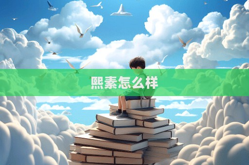 熙素怎么样  第1张
