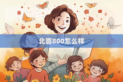 北面800怎么样  第1张