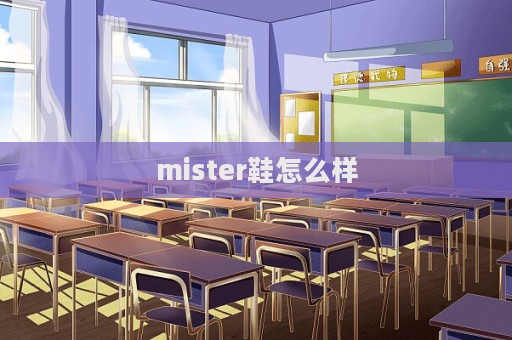 mister鞋怎么样  第1张