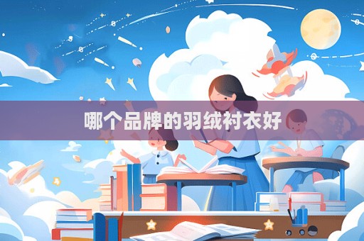 哪个品牌的羽绒衬衣好