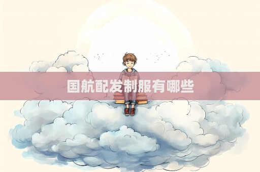 国航配发制服有哪些