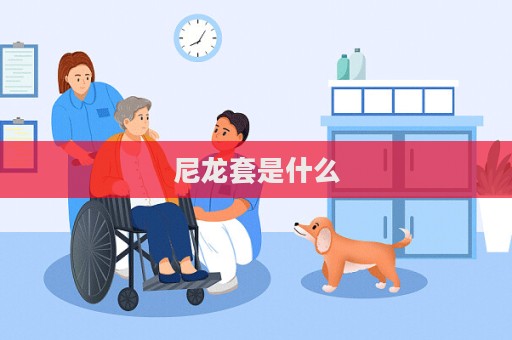 尼龙套是什么