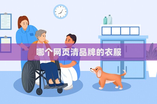 哪个网页清品牌的衣服