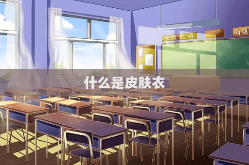什么是皮肤衣