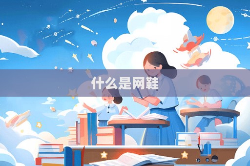 什么是网鞋  第1张