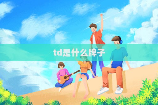 td是什么牌子