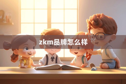 zkm品牌怎么样  第1张