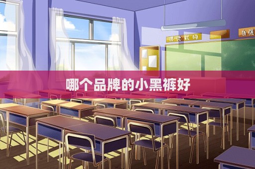 哪个品牌的小黑裤好