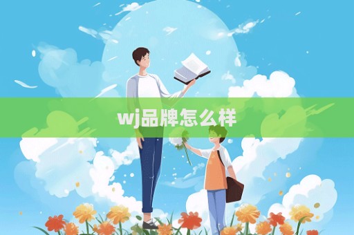 wj品牌怎么样