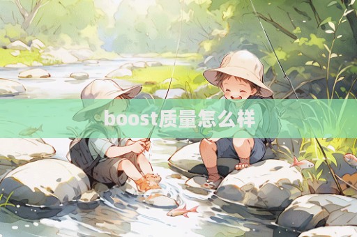boost质量怎么样