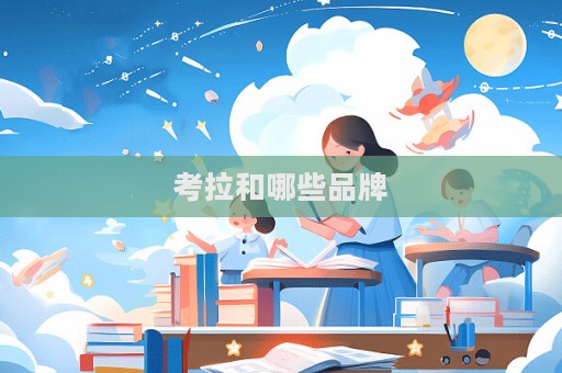 考拉和哪些品牌