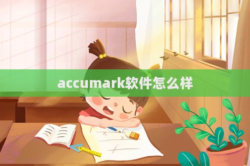 accumark软件怎么样
