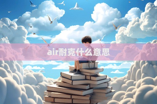 air耐克什么意思  第1张